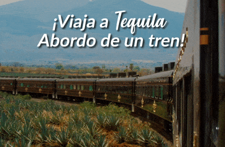 jose-cuervo-express-boletos